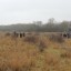 Brockeridge Common