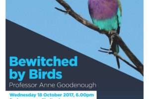 Bewitched by Birds – Professor Anne Goodenough – 18 October 2017