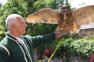 Tudor Birds of Prey Day – Saturday 17 August