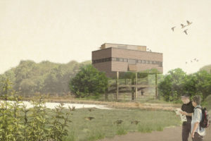 WWT Slimbridge – Estuary Tower Opening Weekend – Lots of events – 16-17 Nov