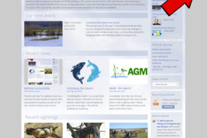 Website accessibility