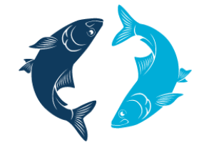 Unlocking the Severn