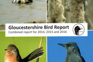 Gloucestershire Bird Report 2014-16