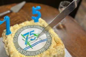 GNS 75th Anniversary Celebrations