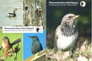 Gloucestershire Bird Report survey