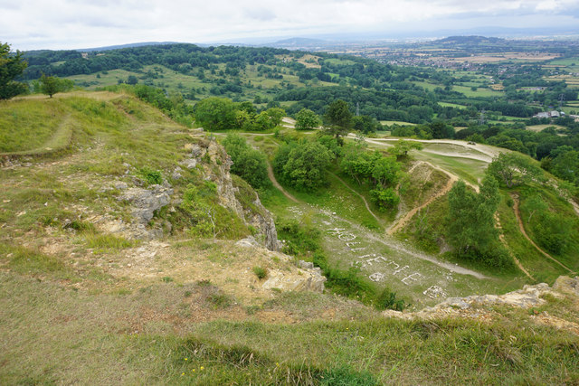 Spring botany on Leckhampton Hill