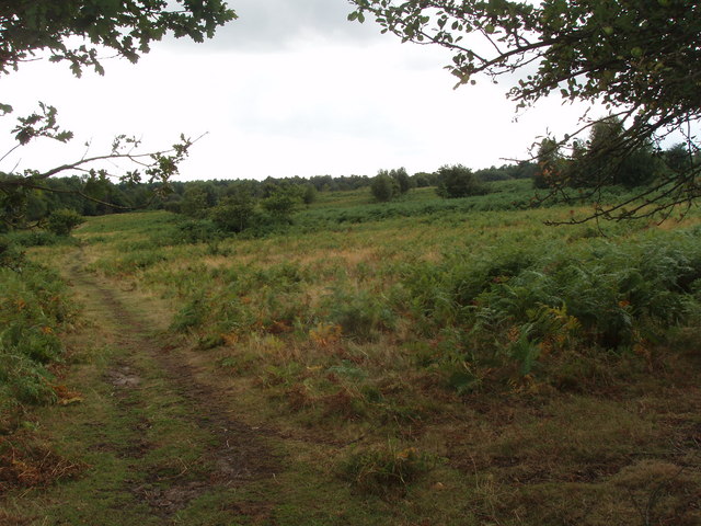 Botany for Intermediates