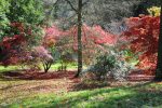 Batsford Arboretum