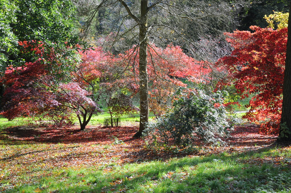 Batsford Arboretum